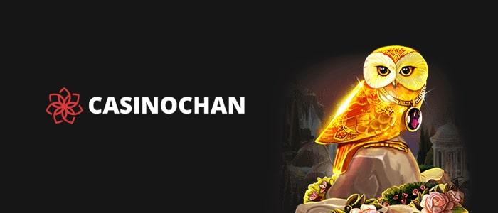 Experience the Best in Online Gaming with Casinochan Australia
